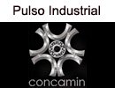 Pulso Industrial